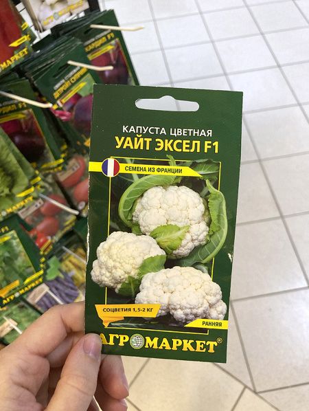 капуста цветная Уайт Эксел F1